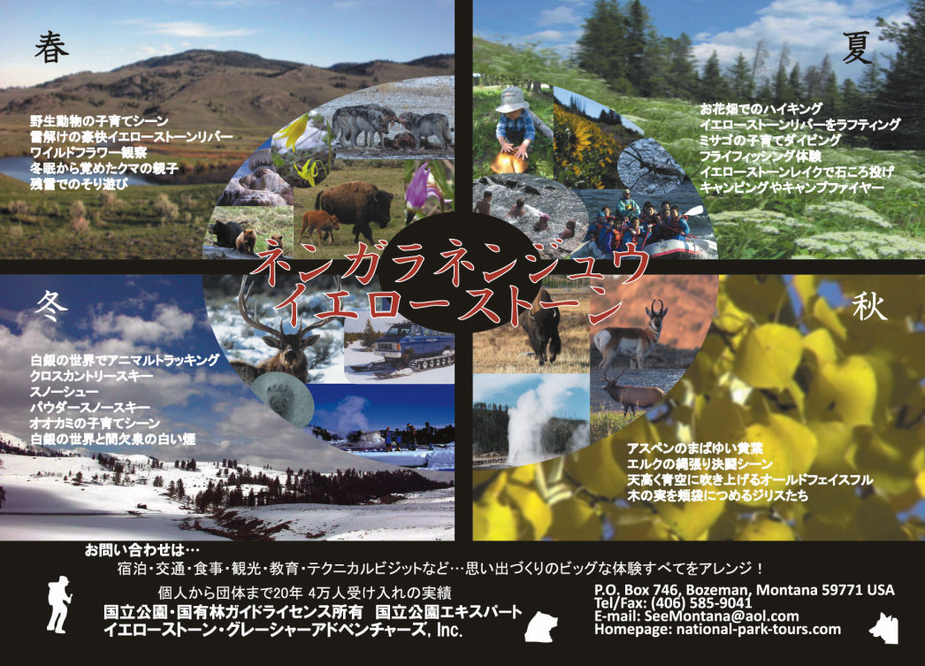 Yellowstone Tours in Japanese
